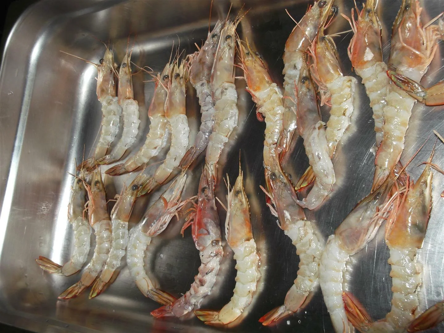 Skewers with cuttlefish and shrimp