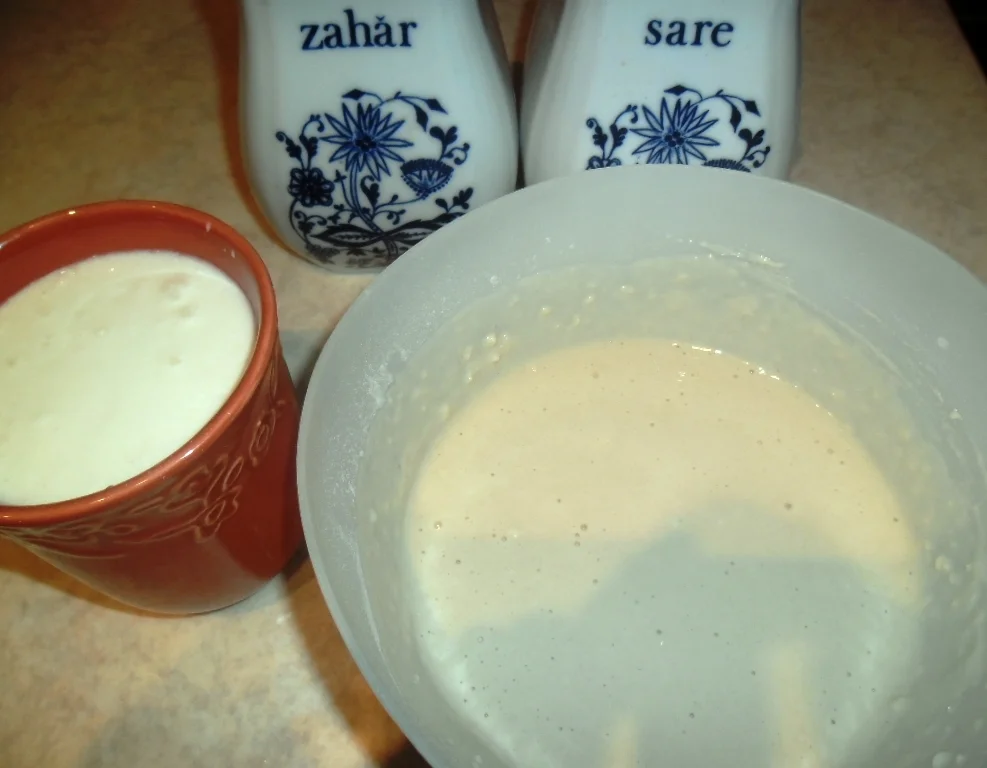 Homemade bread with yogurt