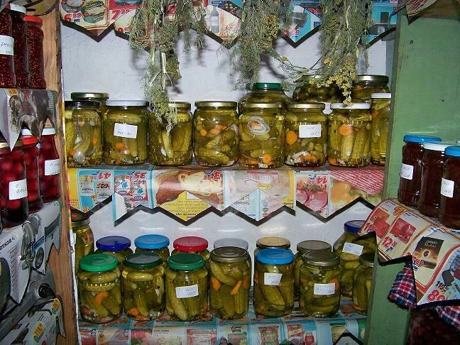 Pickled cucumbers, crunchy and delicious