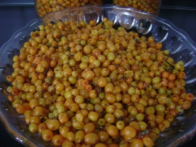 Sea buckthorn with honey, in a jar – for immunity and vitamin C