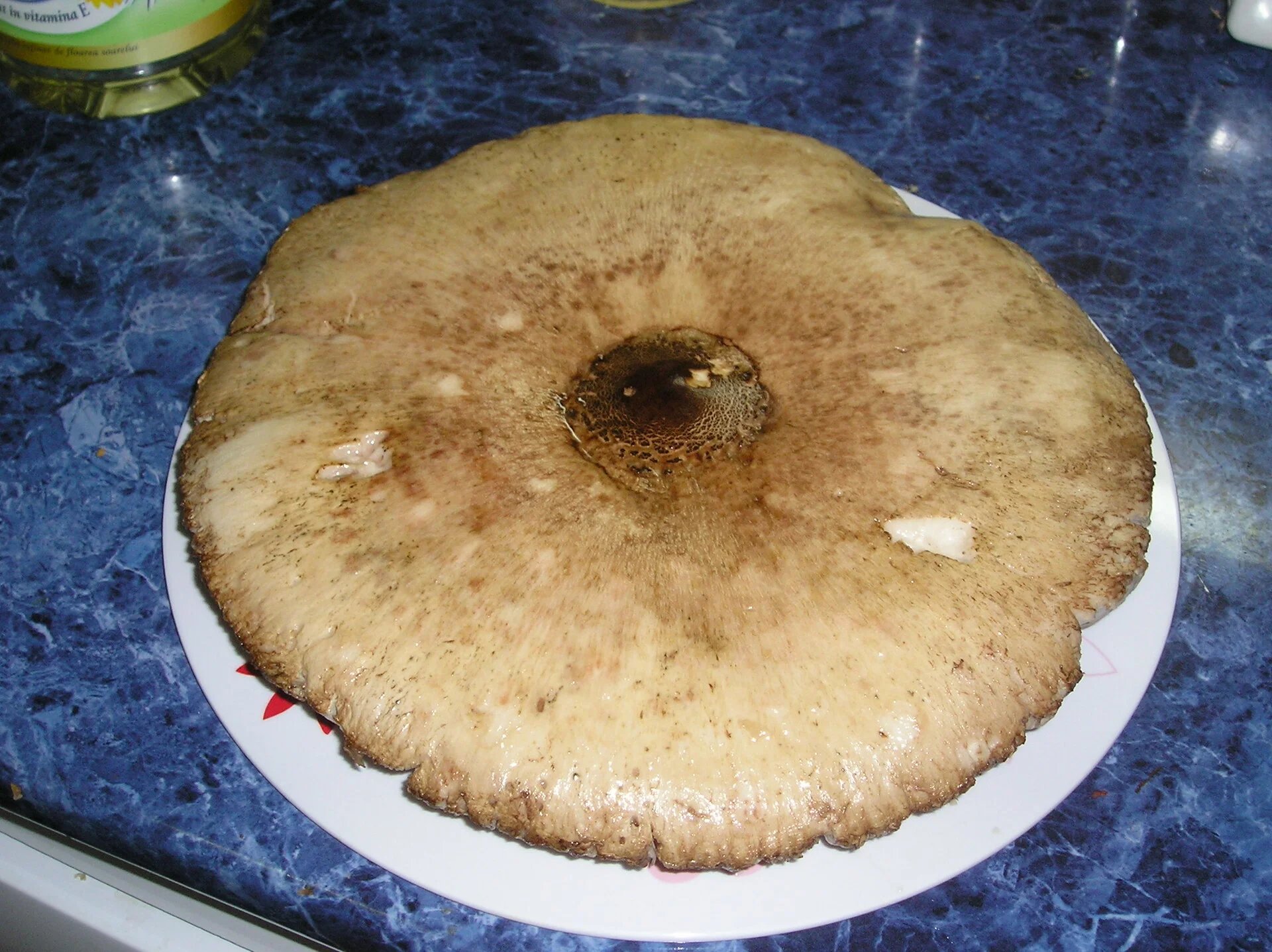 Vegetable and mushroom patties with mashed potatoes