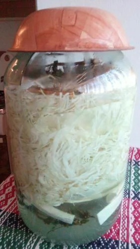 Pickled cabbage in a jar