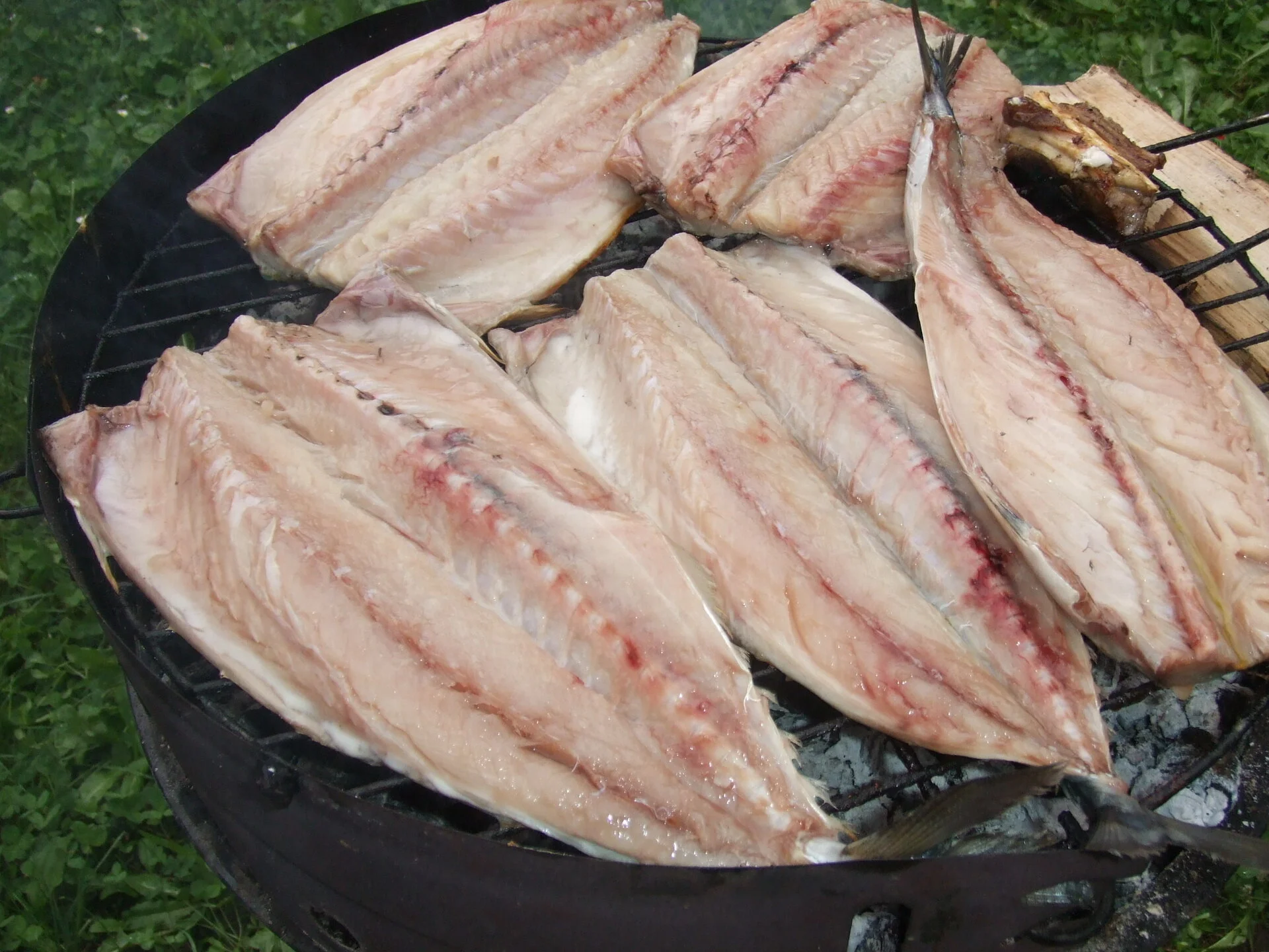 Grilled mackerel
