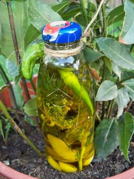 Flavored olive oil
