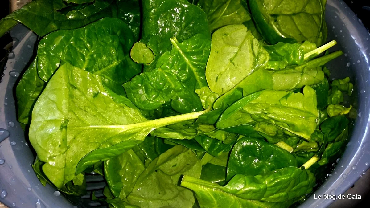 Turkey roll with spinach