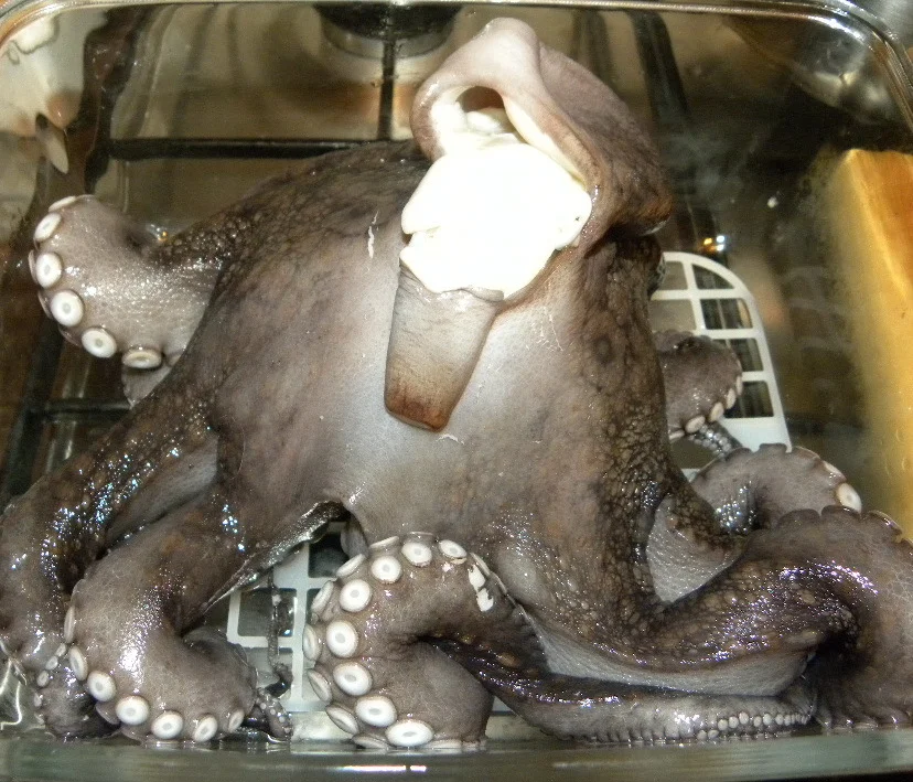 Octopus in spicy sauce