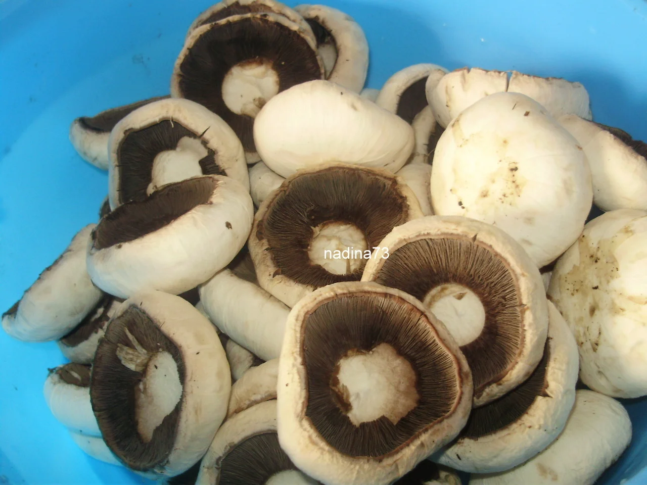 Mushroom ciulama with polenta (like at mom’s place)