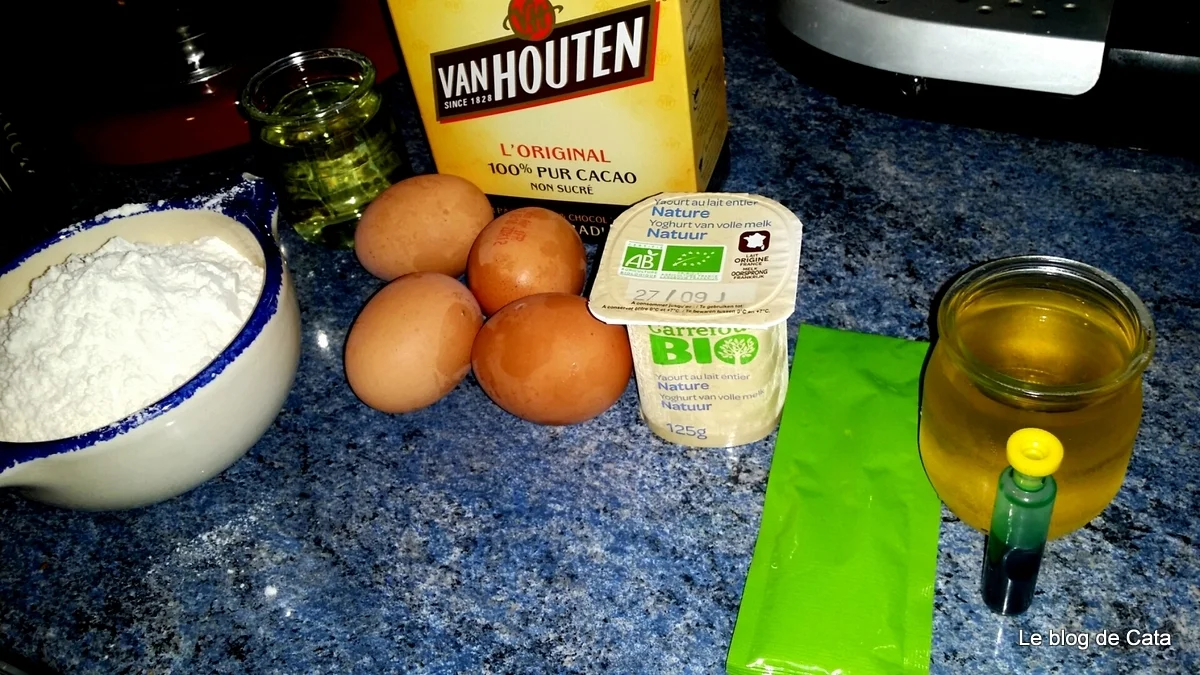 Mint and chocolate cake