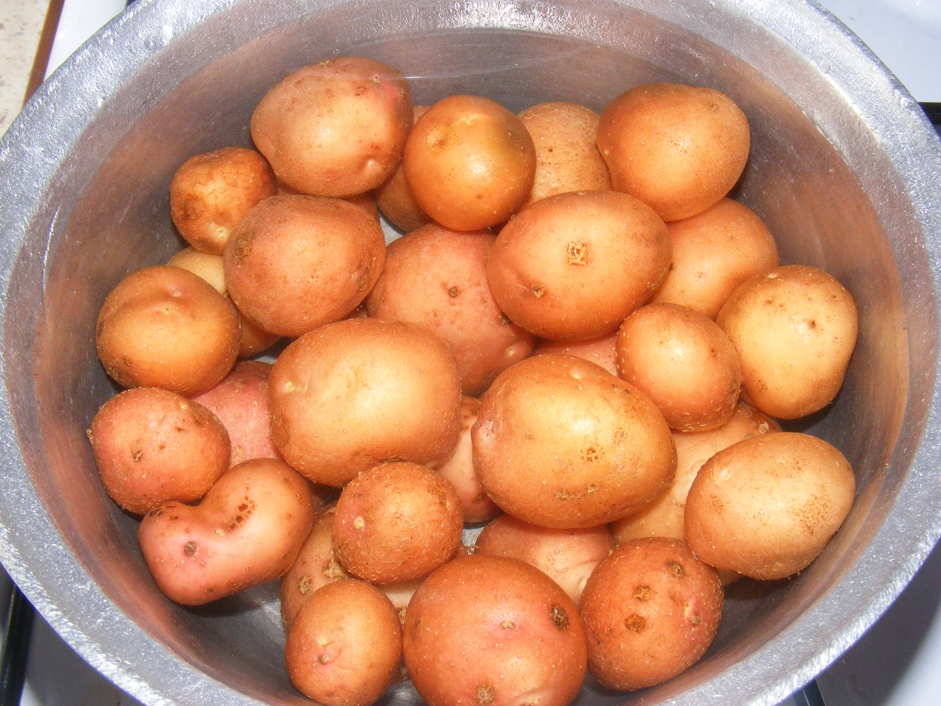 Pasta salad with green beans and potatoes