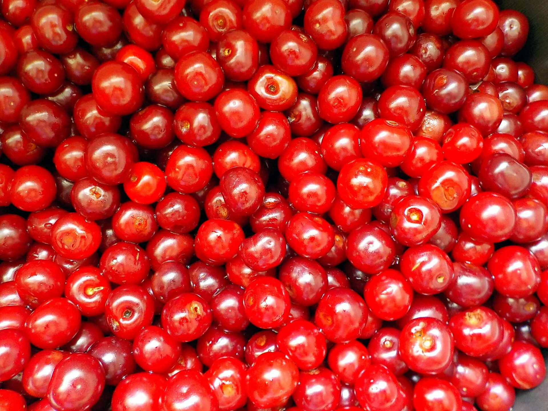 Preserved sour cherries for cakes
