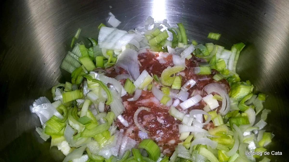 Spring rolls / Quick nems