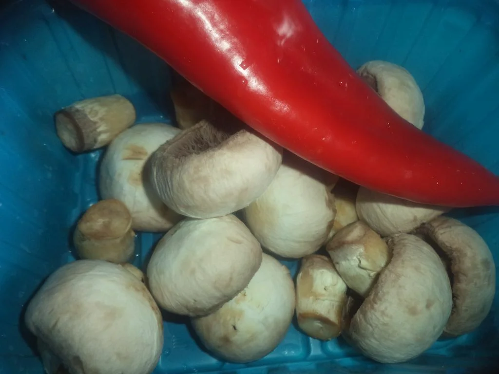 Sautéed mushrooms with bell peppers