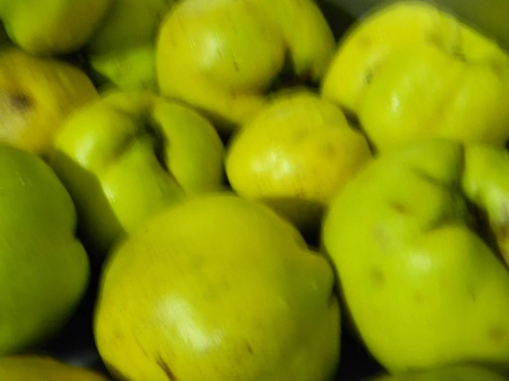 Quince jam with cranberries