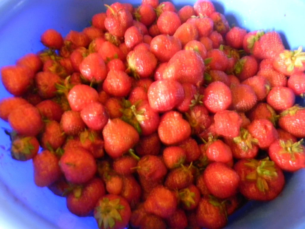 Strawberry jam recipe with mint