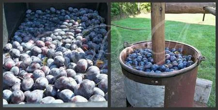 Silvoita in the cauldron