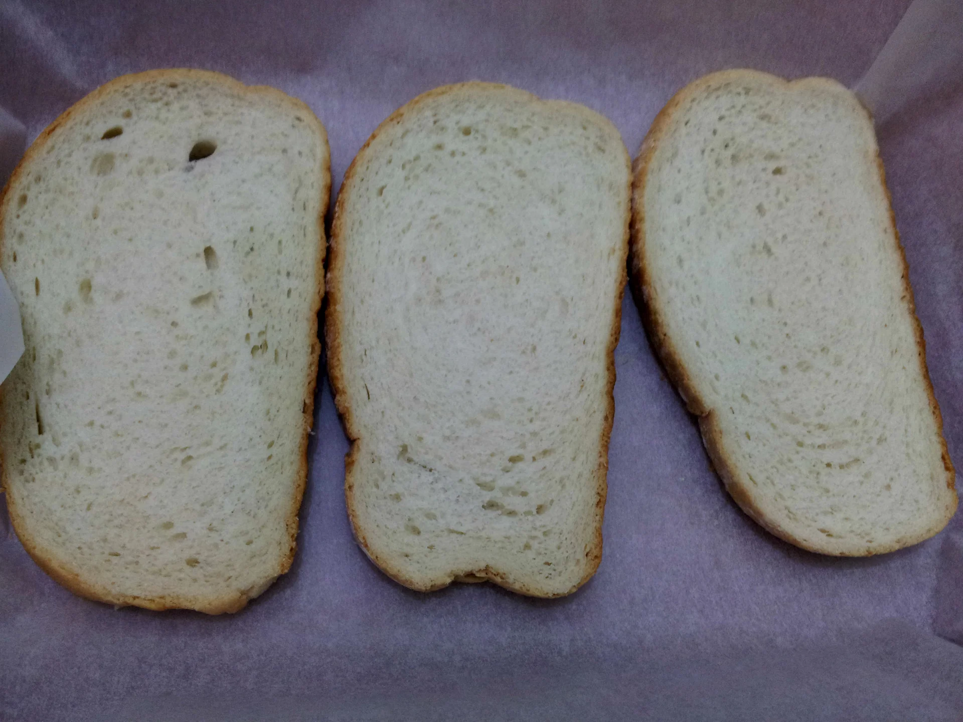 Hot sandwich with cheese