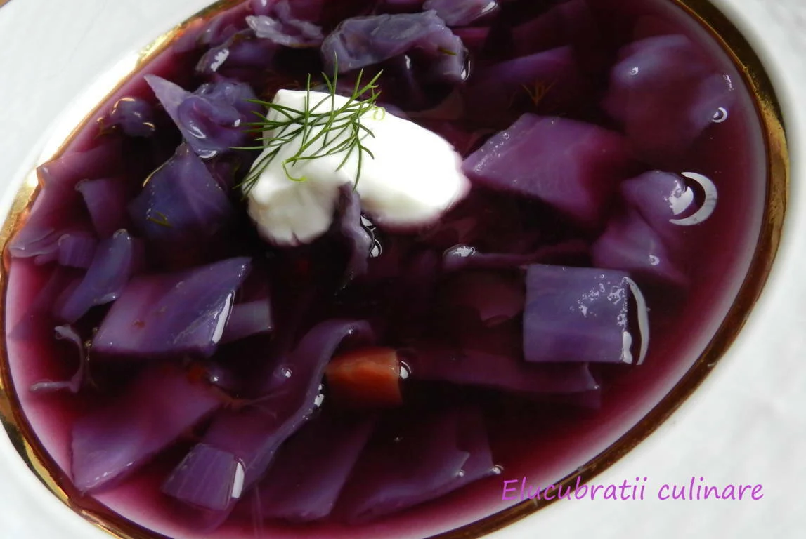Red cabbage soup