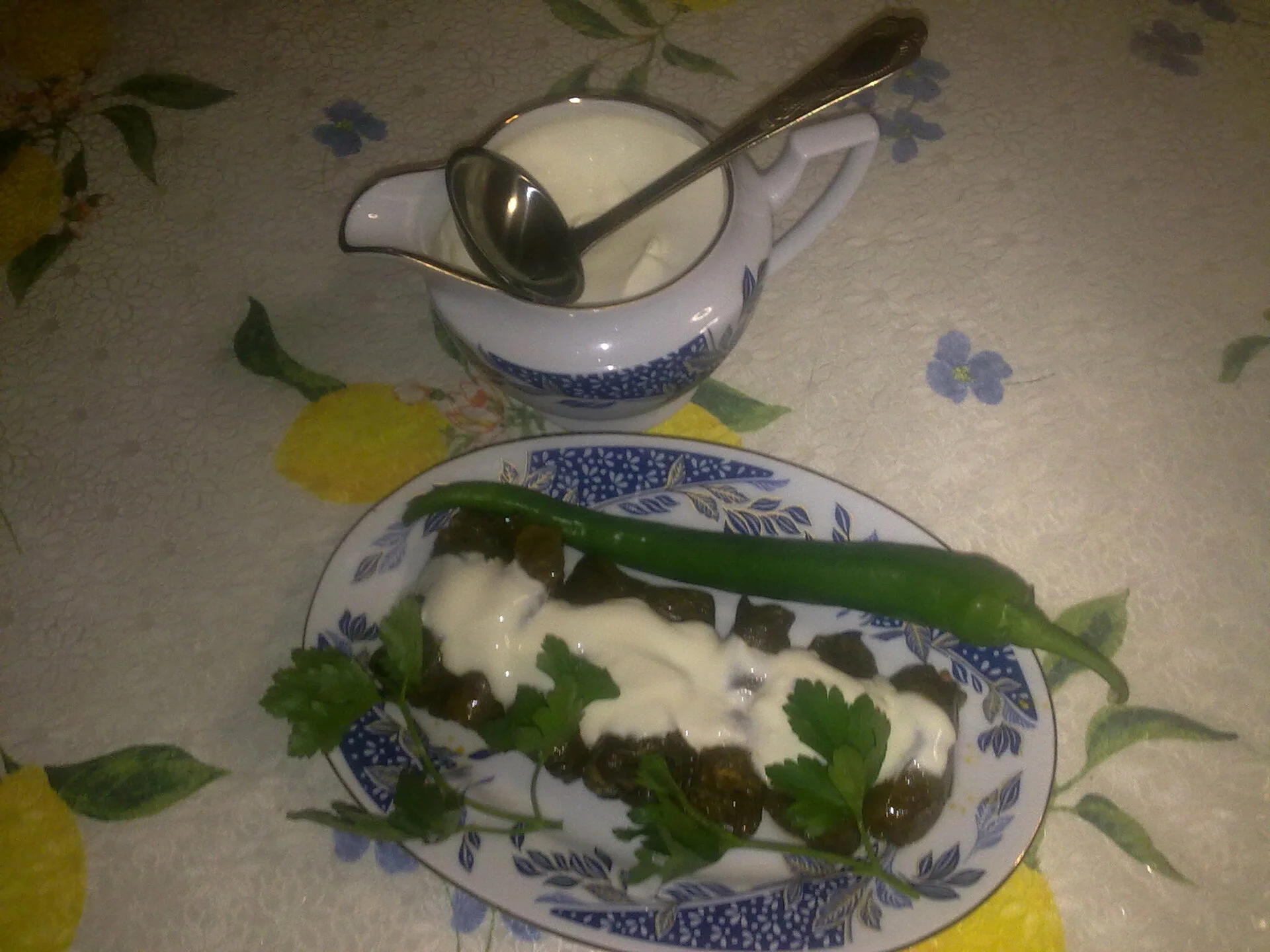 Stuffed grape leaves