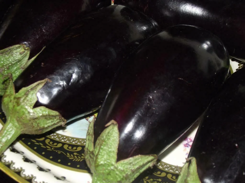 Eggplant with tomato sauce
