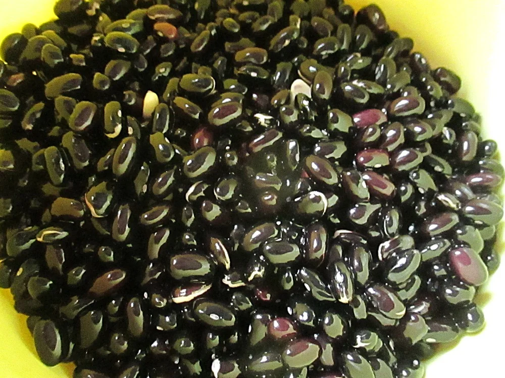 Pasta salad with black beans