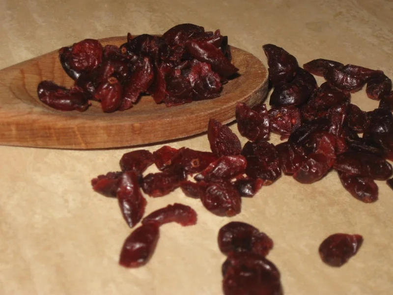 Chocolate and cranberry muffins