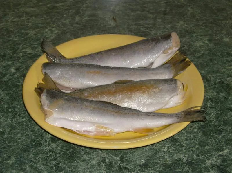 Trout fillet