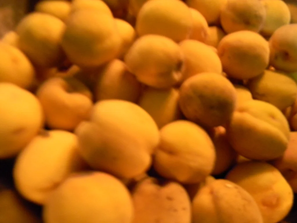 Apricot jam with plums