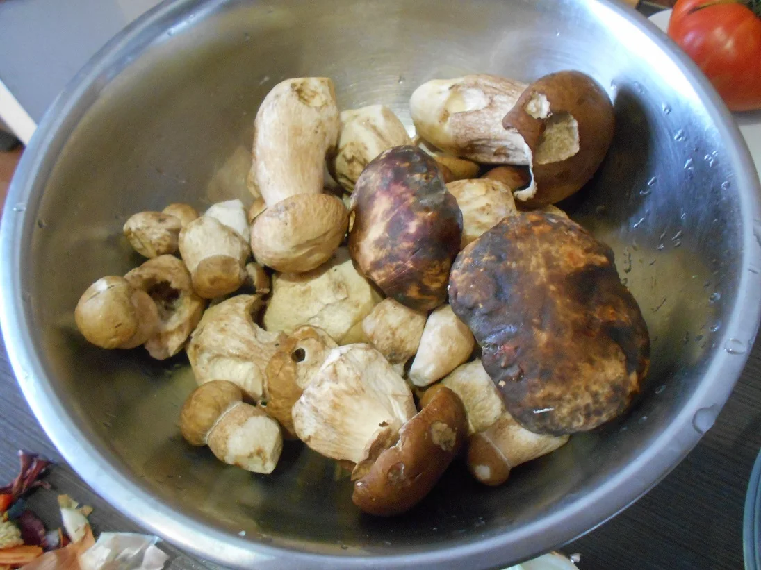 Farfalle with porcini mushrooms and sour cream