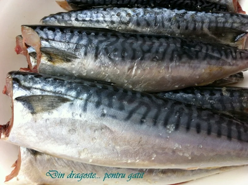 Grilled Mackerel & Buckwheat with Vegetables
