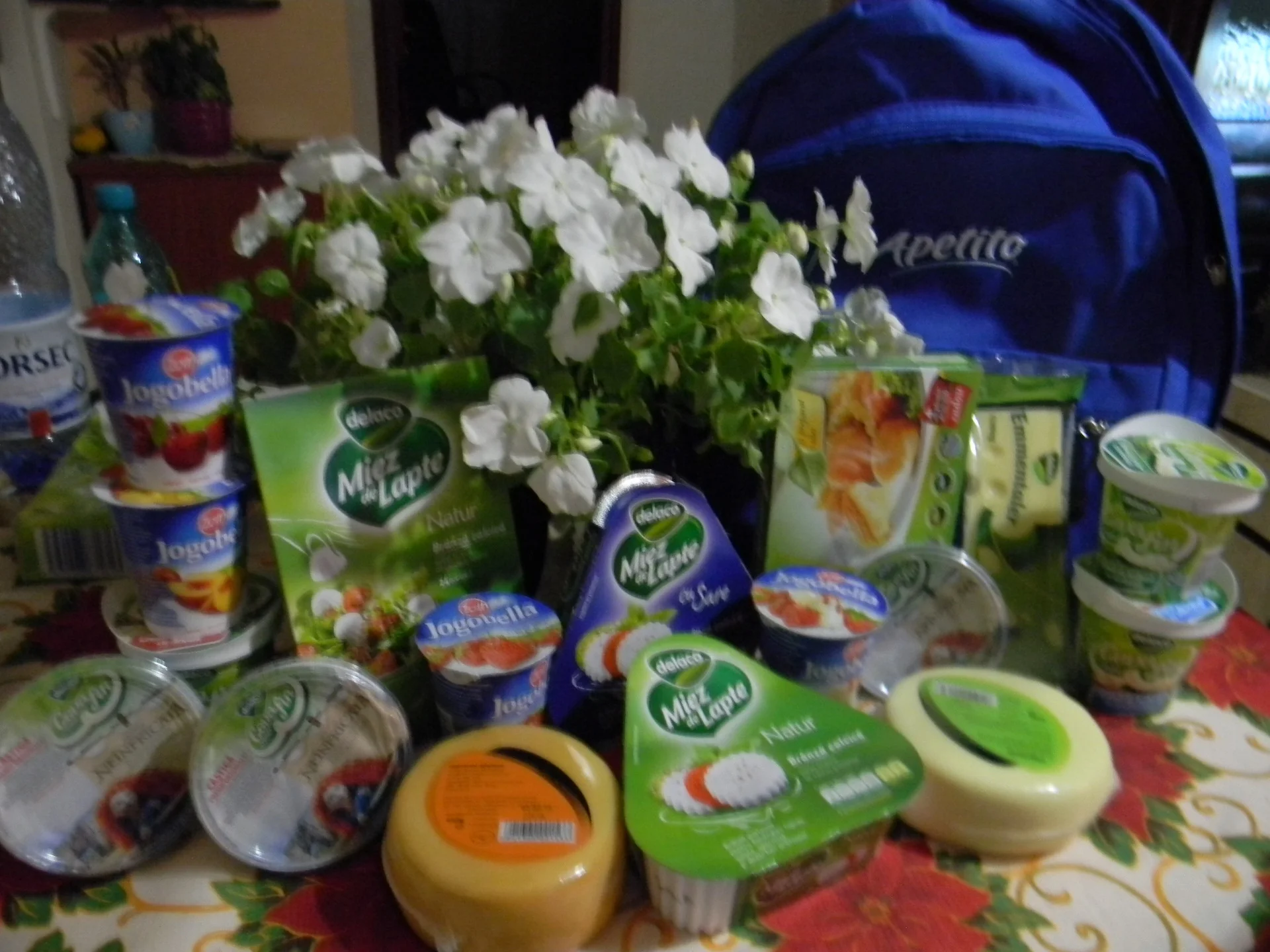 Chicken salad with mini breaded cheese