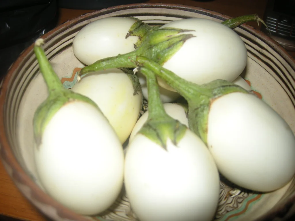 Pickled white eggplants