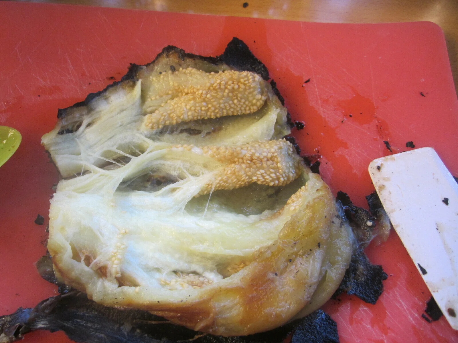 Mushroom Pleurotus Spread