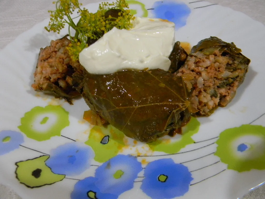 Stuffed grape leaves with brown rice