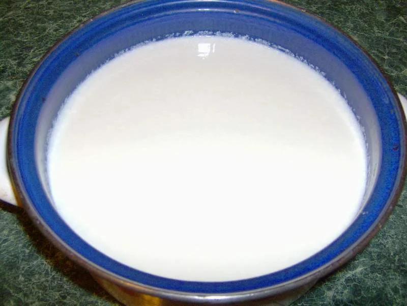 Homemade cottage cheese