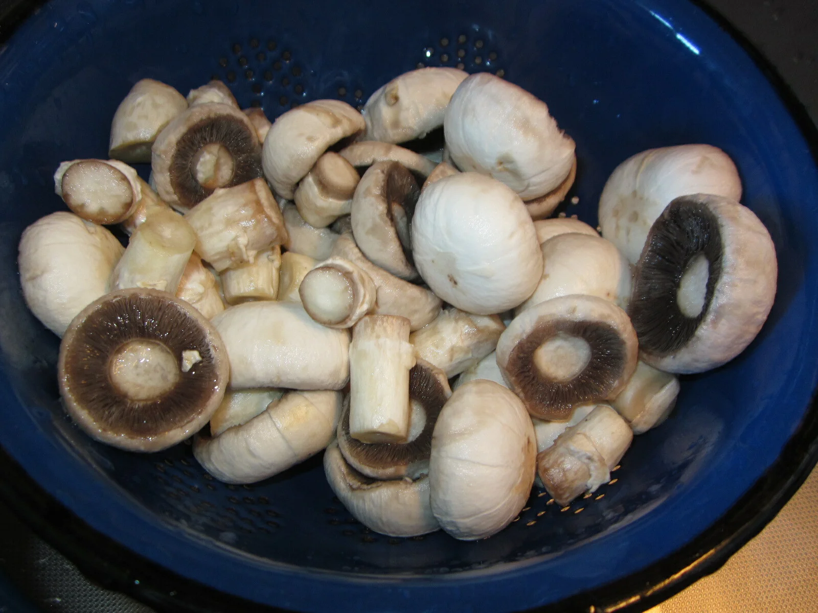 Mushroom stew