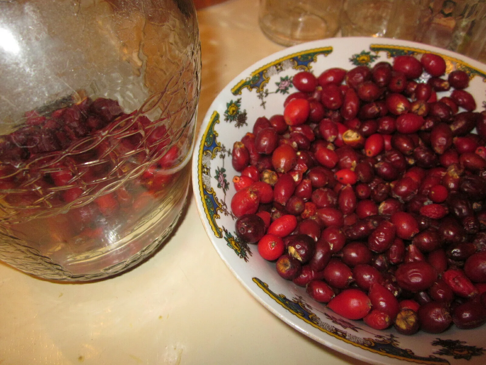 I come from rose hips