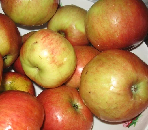 Puff pastry roses and apples