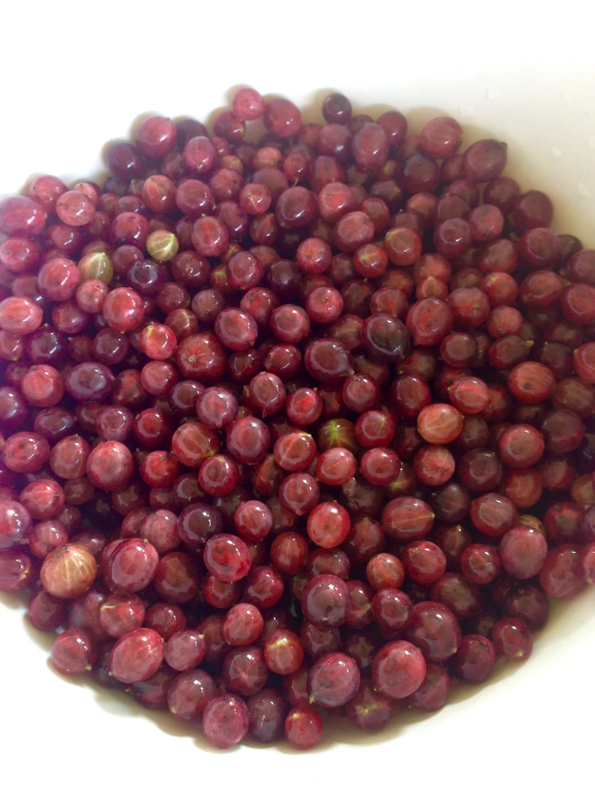 Gooseberry jam with lavender – Provence