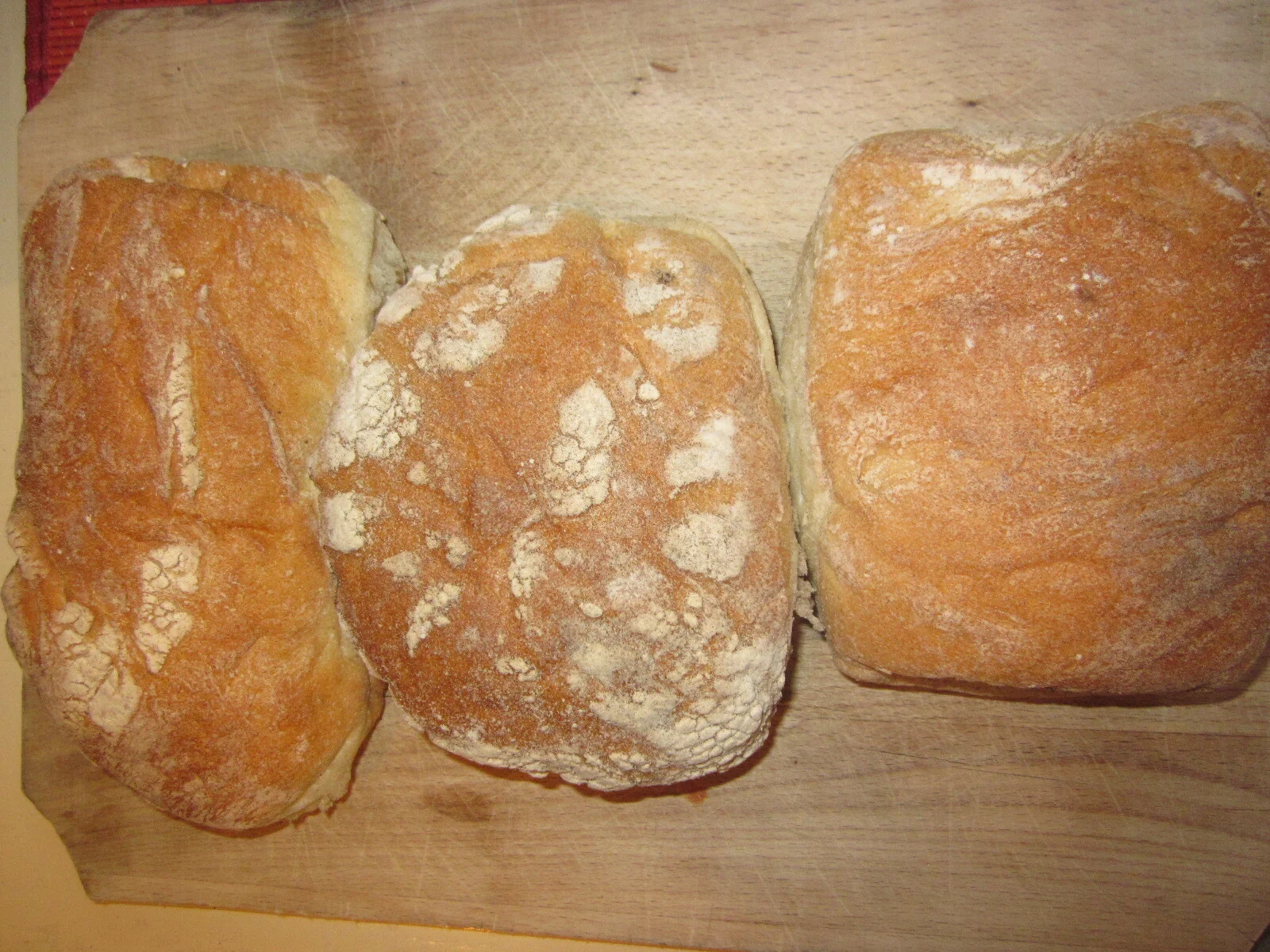 Fried eggs in a Pave bun