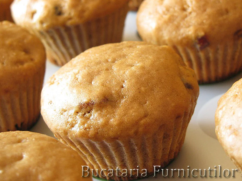 Cranberry Muffins
