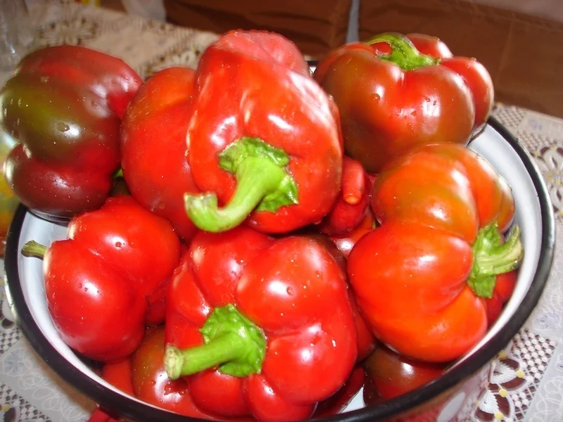 Peppers and tomato paste for winter