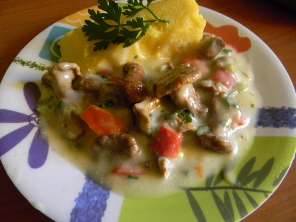 Chanterelle stew with polenta