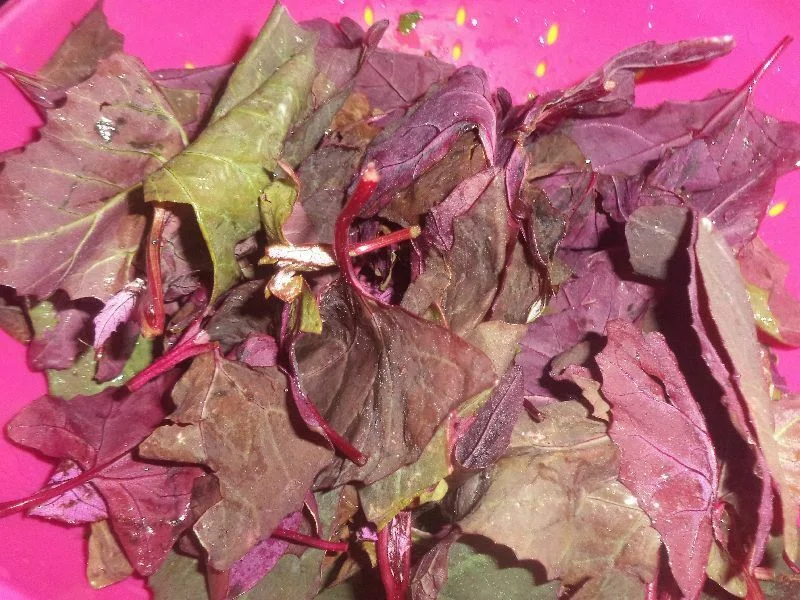 Detox drink with orache, beetroot, and cucumber