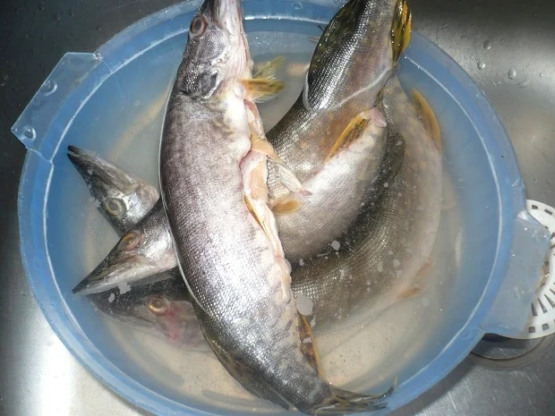 Baked pike with vegetables