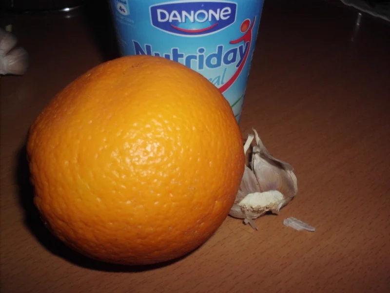 Grilled marinated fish with orange sauce