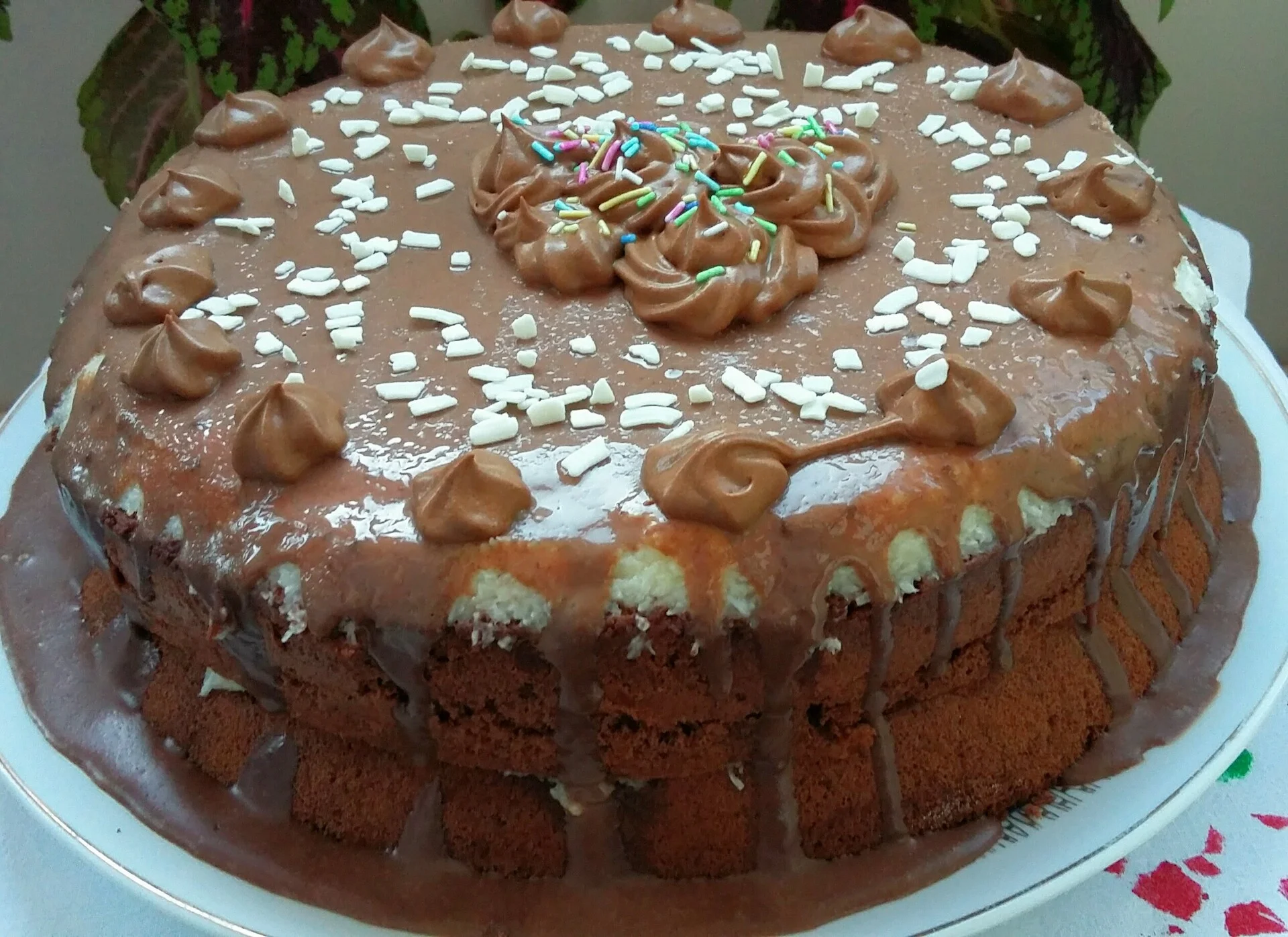 Bounty Cake
