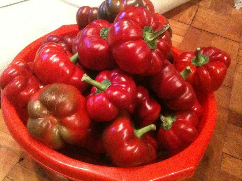 Pepper and cauliflower in vinegar for winter