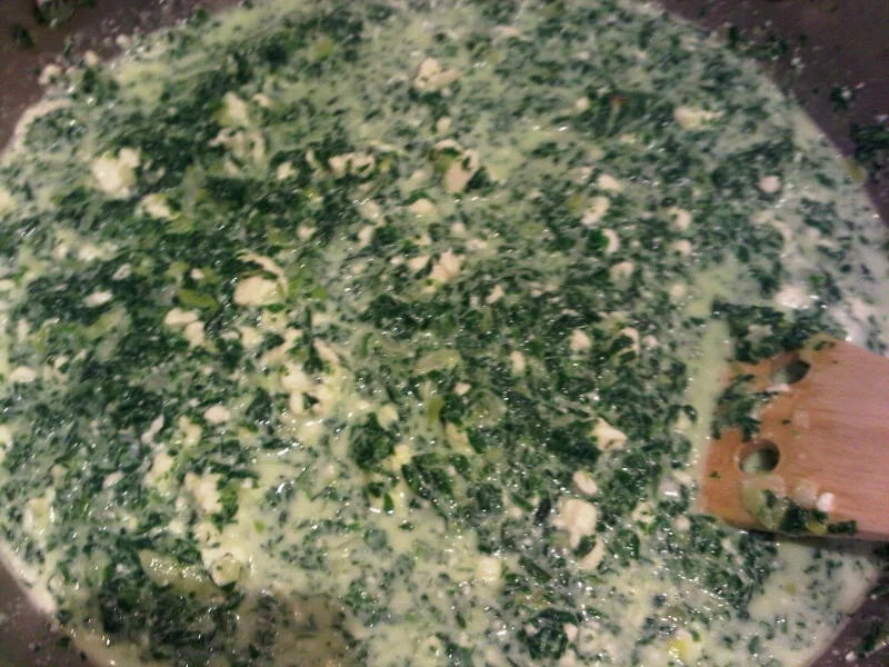 Lasagna with spinach