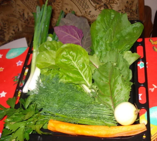 Herb soup and omelette