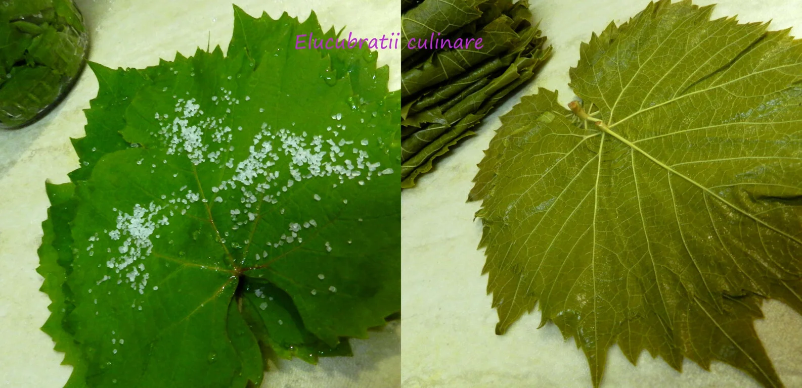 Conservation of grapevine leaves